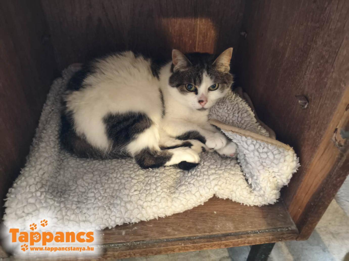 Nina új szobába költözött